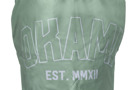 Okami Logo Fightshorts -mint